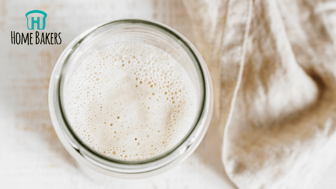 The Ultimate Guide to Choosing the Best Sourdough Starter