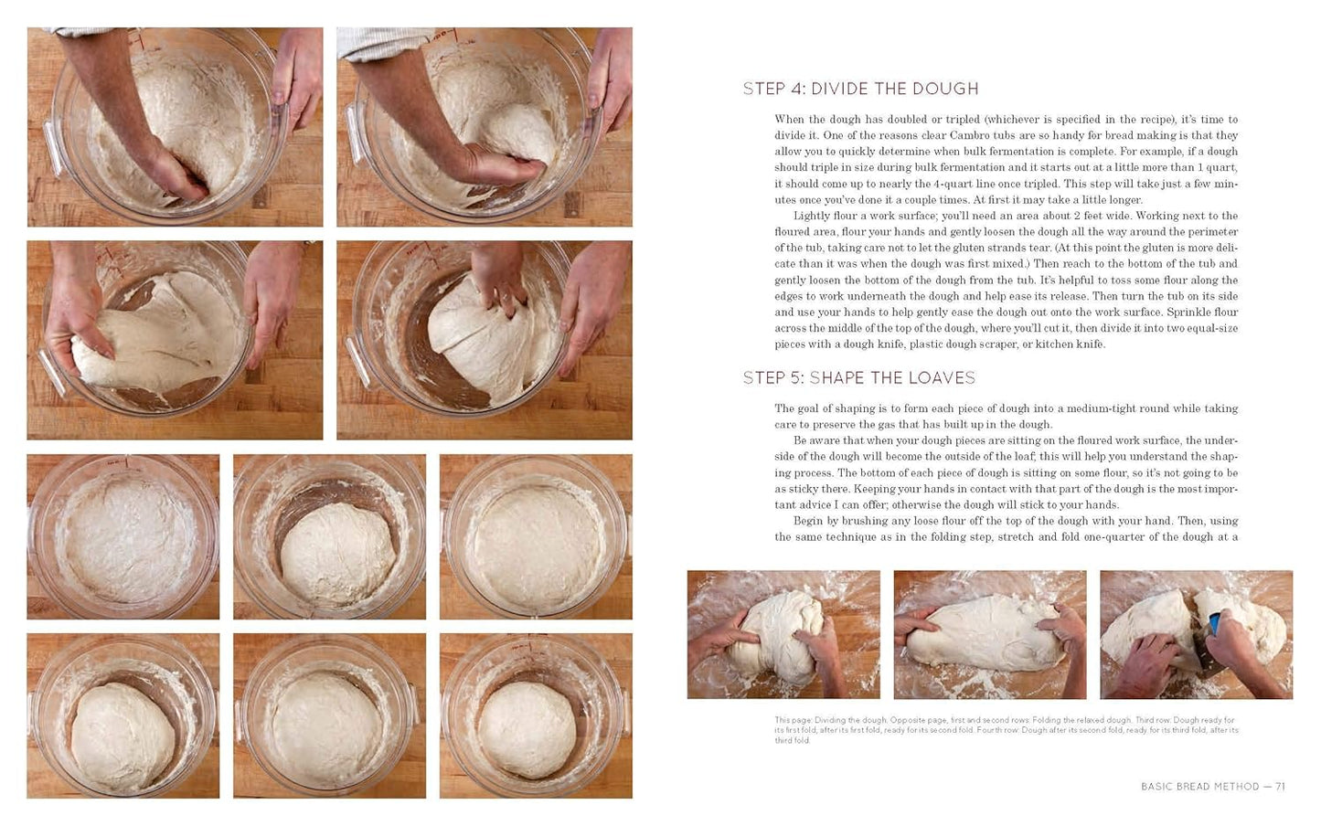 Flour Water Salt Yeast: The Fundamentals of Artisan Bread and Pizza [A Cookbook]